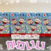 ヒメ日記 2025/05/24 07:45 投稿 せな ぷるるんギャング