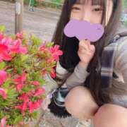 ヒメ日記 2026/05/15 17:36 投稿 たまき 君を舐めたくて学園