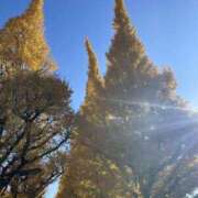 ヒメ日記 2025/02/03 22:17 投稿 ゆう 上野添い寝女子