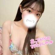 ヒメ日記 2025/04/14 16:39 投稿 マシロ 姫路ラビット