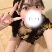 マシロ 9月スタート！ 姫路ラビット