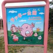 ヒメ日記 2025/11/17 16:33 投稿 しん 折り紙 ORIGAMI