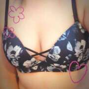 ヒメ日記 2025/11/19 18:09 投稿 しん 折り紙 ORIGAMI