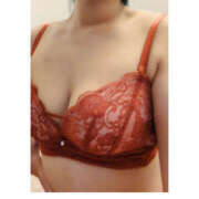 ヒメ日記 2025/12/15 15:39 投稿 しん 折り紙 ORIGAMI