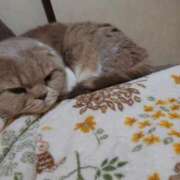 ヒメ日記 2025/01/01 10:04 投稿 ゆあ G-SPOT 土浦店