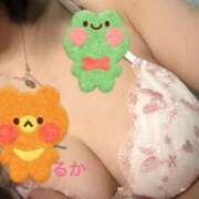 ヒメ日記 2024/12/27 07:31 投稿 るか MIKADO