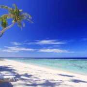 ヒメ日記 2025/02/10 16:58 投稿 るか MIKADO