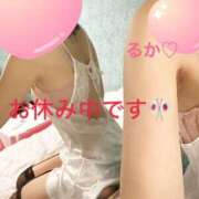 ヒメ日記 2025/02/11 16:51 投稿 るか MIKADO