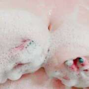 ヒメ日記 2024/12/11 17:40 投稿 響～HIBIKI～ BBW名古屋店