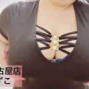 ヒメ日記 2024/12/17 14:36 投稿 響～HIBIKI～ BBW名古屋店