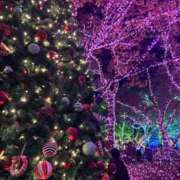 樹里-Juri- ♪ Aroma Bloom（アロマブルーム）