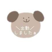 ヒメ日記 2026/04/08 18:44 投稿 えるも 熟女の風俗最終章 仙台店