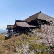 ヒメ日記 2025/04/10 12:32 投稿 工藤あゆみ 人妻百花