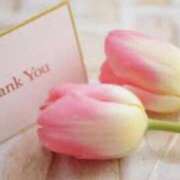 ヒメ日記 2025/05/02 19:15 投稿 工藤あゆみ 人妻百花