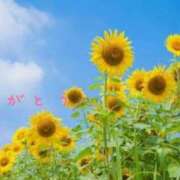 ヒメ日記 2026/08/23 21:31 投稿 工藤あゆみ ちょうどいい奥さん