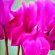 ヒメ日記 2024/12/17 19:17 投稿 こころ 完熟ばなな川崎