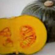 ヒメ日記 2024/12/21 09:36 投稿 こころ 完熟ばなな川崎