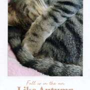 ヒメ日記 2025/07/21 14:49 投稿 こころ 完熟ばなな川崎