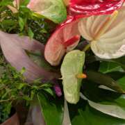 ヒメ日記 2025/08/22 20:34 投稿 こころ 完熟ばなな川崎