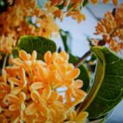 ヒメ日記 2025/10/19 20:24 投稿 こころ 完熟ばなな川崎