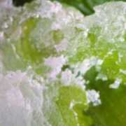 ヒメ日記 2024/12/19 18:08 投稿 こころ 完熟ばなな 横浜