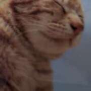 ヒメ日記 2025/01/03 17:31 投稿 こころ 完熟ばなな 横浜