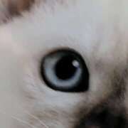 ヒメ日記 2025/08/18 11:08 投稿 こころ 完熟ばなな 横浜