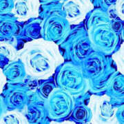 ヒメ日記 2024/12/21 02:27 投稿 永野みん 禁断のメンズエステR-18堺・南大阪店