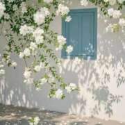 ヒメ日記 2025/12/06 06:26 投稿 琴音きこ セレブ嬉野