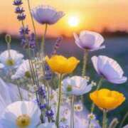 ヒメ日記 2025/12/09 14:36 投稿 琴音きこ セレブ嬉野