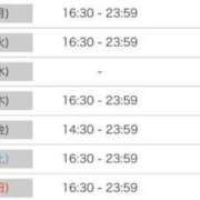 ヒメ日記 2025/03/16 18:20 投稿 ルナ 石庭