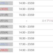 ヒメ日記 2025/03/28 20:33 投稿 ルナ 石庭