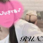 ヒメ日記 2025/04/13 15:18 投稿 ルナ 石庭