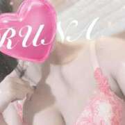 ヒメ日記 2025/04/16 18:02 投稿 ルナ 石庭