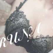 ヒメ日記 2025/04/23 22:50 投稿 ルナ 石庭