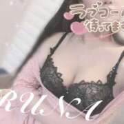 ヒメ日記 2025/05/08 15:11 投稿 ルナ 石庭