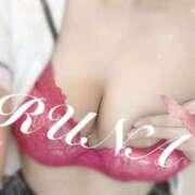 ヒメ日記 2025/05/18 13:20 投稿 ルナ 石庭