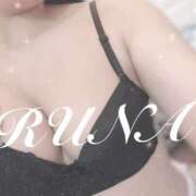 ヒメ日記 2025/05/22 17:00 投稿 ルナ 石庭