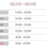 ヒメ日記 2025/06/03 20:20 投稿 ルナ 石庭
