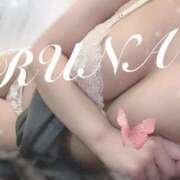 ヒメ日記 2025/06/11 16:00 投稿 ルナ 石庭