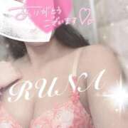 ヒメ日記 2025/06/11 17:20 投稿 ルナ 石庭