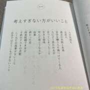 ヒメ日記 2025/06/19 08:00 投稿 ルナ 石庭