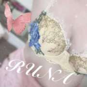 ヒメ日記 2025/06/19 15:50 投稿 ルナ 石庭