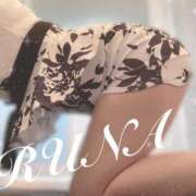 ヒメ日記 2025/06/21 19:33 投稿 ルナ 石庭