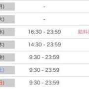 ヒメ日記 2025/06/21 21:30 投稿 ルナ 石庭