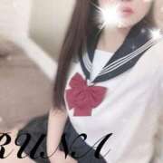 ヒメ日記 2025/06/26 14:50 投稿 ルナ 石庭