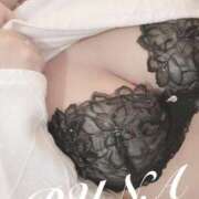 ヒメ日記 2025/06/26 20:21 投稿 ルナ 石庭