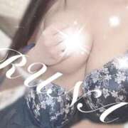 ヒメ日記 2025/06/28 10:50 投稿 ルナ 石庭