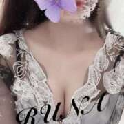 ヒメ日記 2025/07/09 08:50 投稿 ルナ 石庭