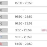 ヒメ日記 2025/07/20 17:20 投稿 ルナ 石庭